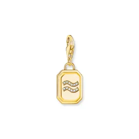 Aquarius zodiac sign gold charm Pendant